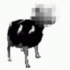 Nienormalnyxd