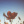 __stxpid_debil__