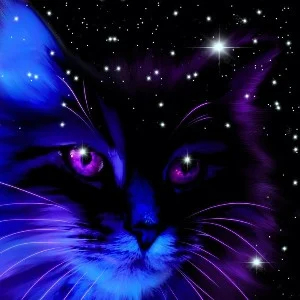 snowstar