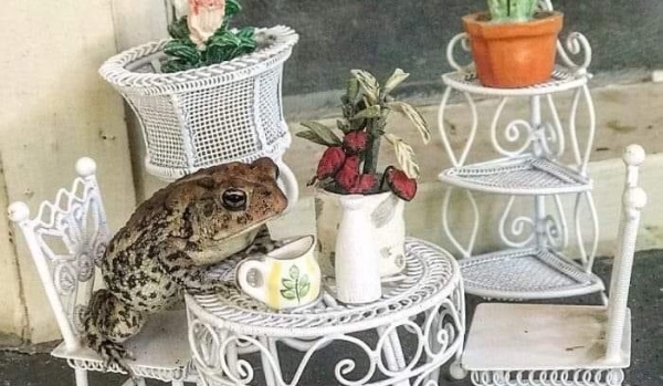 quiz o przysłowiach