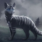 Niebieskie-oko-warrior