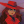 FanCarmenSandiego