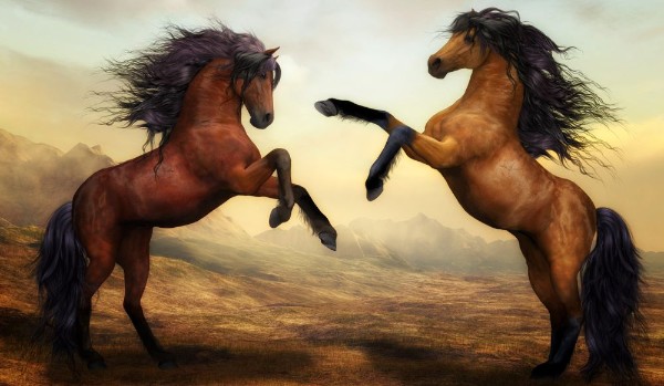 Jakiego konia powinieneś narysować?