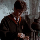 pottervibes