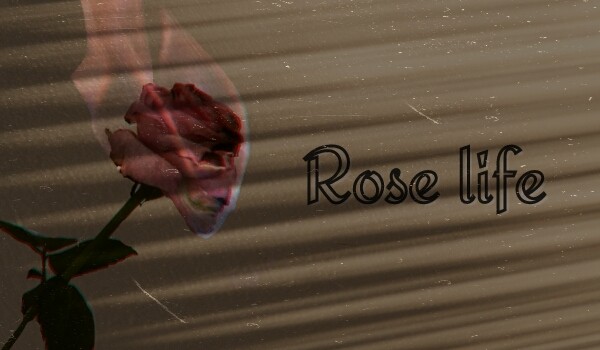 Rose life • One Shot