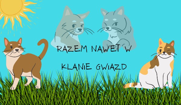 Razem nawet w Klanie Gwiazd #6