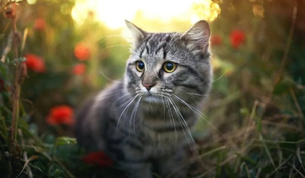 Zgubiona… Część 2