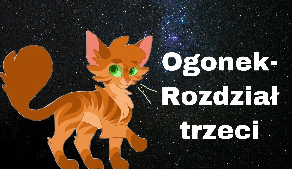 Ogonek-rozdział 3
