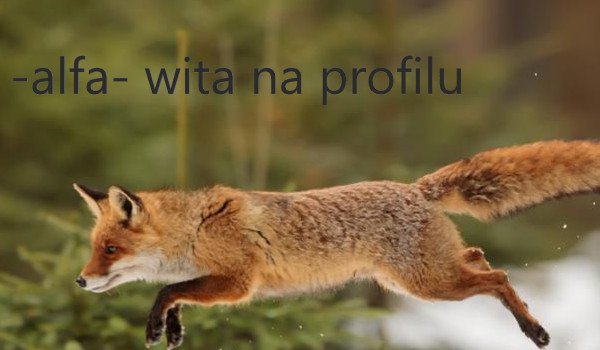 Q&A pytania od @Sojcze_Poro_74