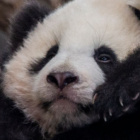 __Nazwa_Uzytkownika__