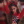 Arianators_1