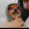 AmongUsy