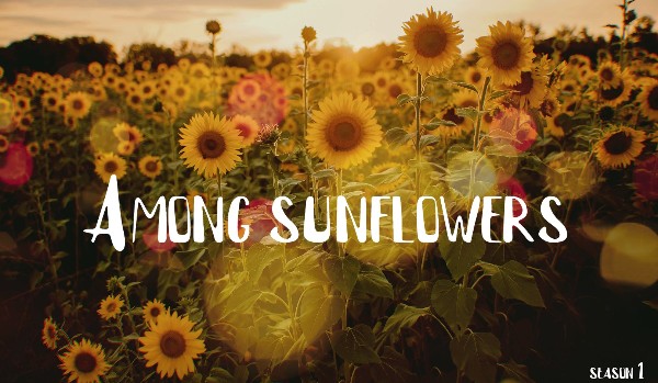 ~Among Sunflowers~ Rozdział 1