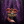 LISINIEC_YT