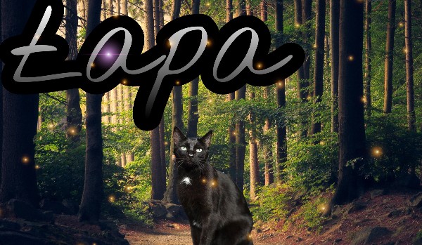 Łapa //Rozdział 2//