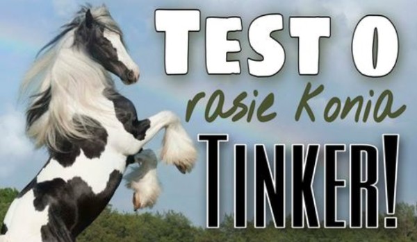 Test o rasie konia Tinker!