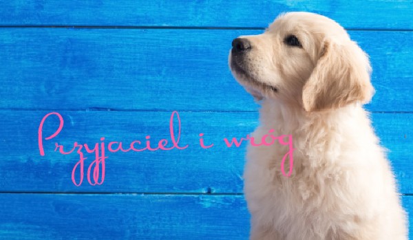 Przyjaciel i wróg #4