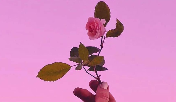 Jaki pokój ode mnie dostaniesz B)