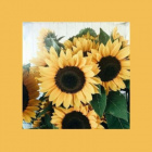 ta_nieznana_704