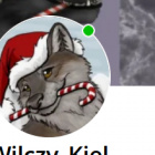 jebaci.kurka.pankwqdrqcik