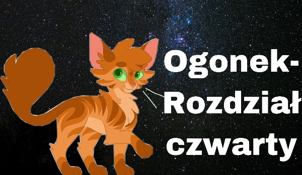 Ogonek-rozdział 4