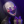 faaaanFNAF
