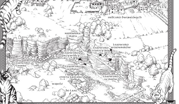 Quiz ,,wojowników„ część3