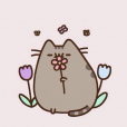 Misia_Pusheen