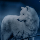 Ravenclaw22