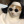 gowniak_official