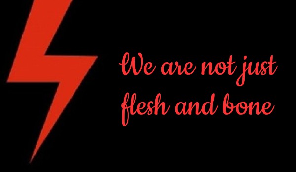 We are not just flesh and bone