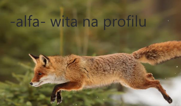 Q&A pytanie od @spark