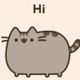Wikipusheen