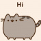 Wikipusheen
