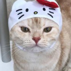 eywi