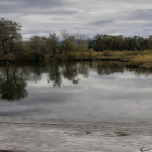 zlotakira