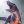 Falo009