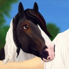 klara_coolnest_sso