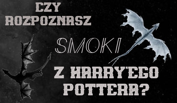 Czy rozpoznasz smoki z Harry’ego Pottera?