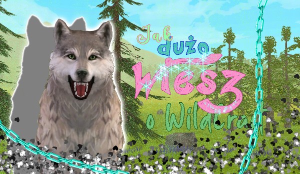 Jak dobrze znasz WildCraft?