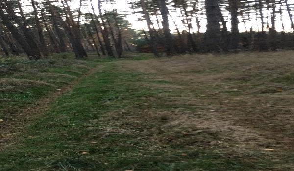 Kolejna część 30 dni!