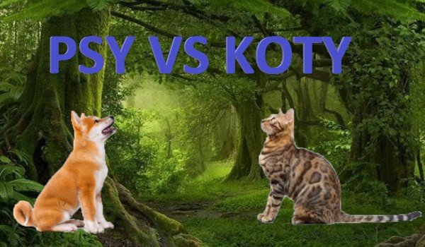 Psy vs Koty| Rozdział 3