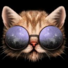 CatHeartCat