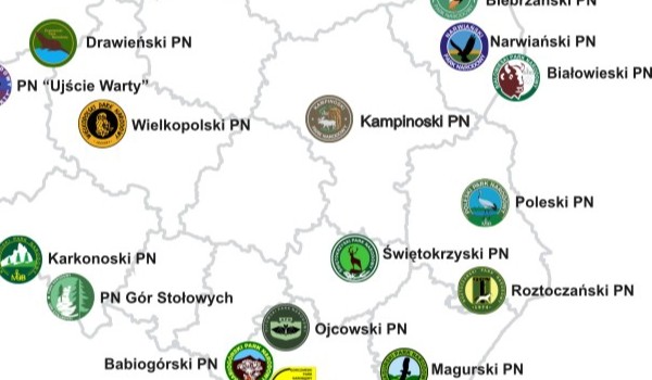 Elo Ola QUIZZZZZZZZZZZ