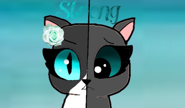 ~Strong-roździał 3~