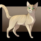 Collie_Wojownicy_UwU