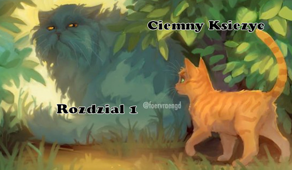 Ciemny Księżyc Rozdział 1