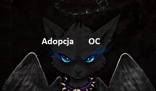 zaadoptuj OC! #3 [ przygarnięty przez @.Maple. ]