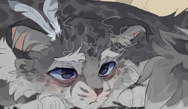 klan burzy rożdział 4