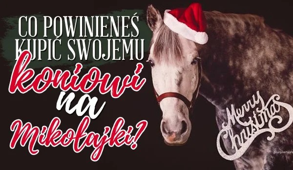 Zgadnij maść konia